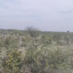 Templo Del Divino Salvador