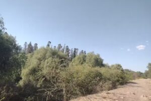 Templo Dieciocho de Marzo