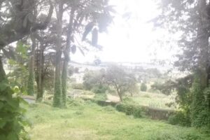 Templo evangelica, San Ignacio 19