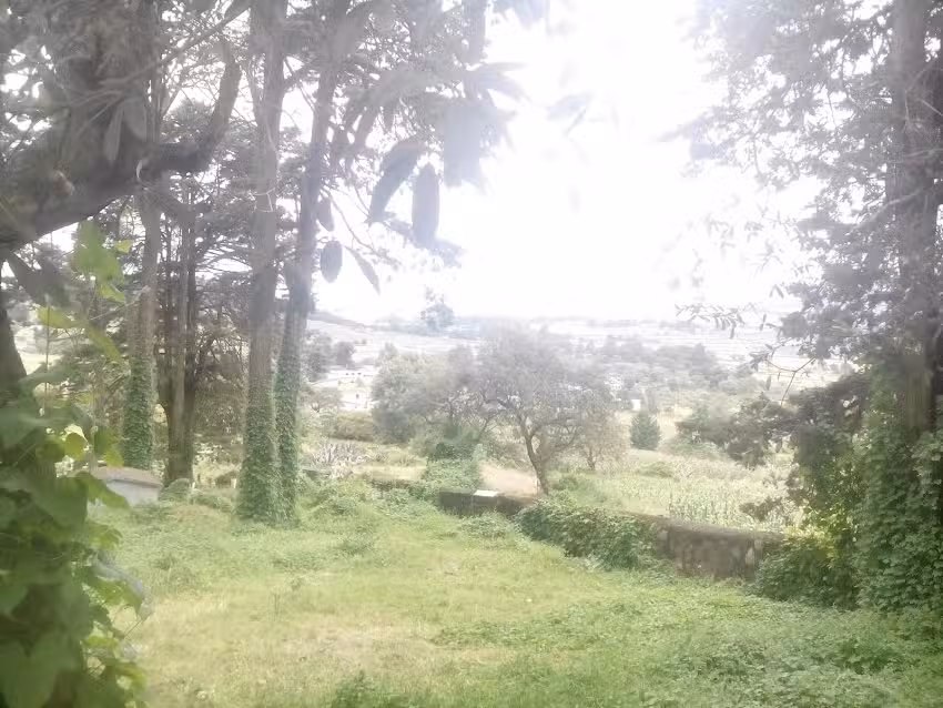 Templo evangelica, San Ignacio 19