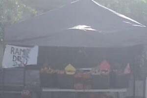 Templo Jard&iacute;n del Eden ICIAR