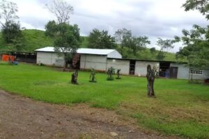 Templo ”LA HERMOSA”