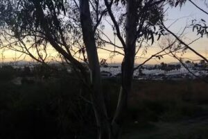 Templo Para&iacute;so