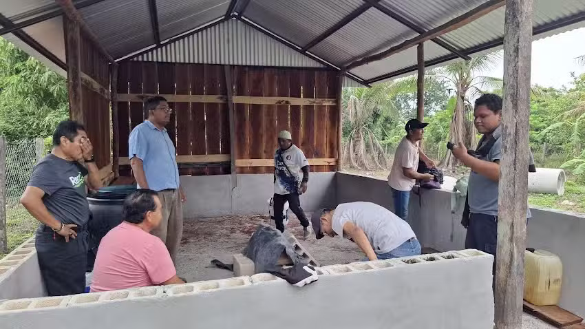 Templo Pr&iacute;ncipe de Paz