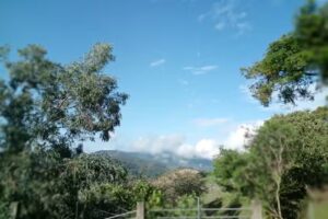 Tepehuajes,Amatepec; Estado de M&eacute;xico