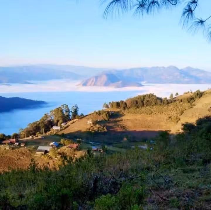 Texamanila (Ocotacom&oacute;l)