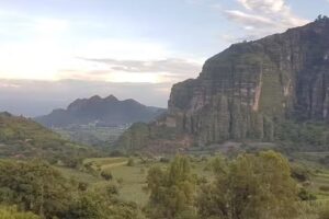 Tlayacapan mor, San Jos&eacute; de los laureles 62547