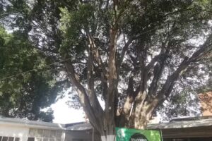 Una Vida Con Identidad