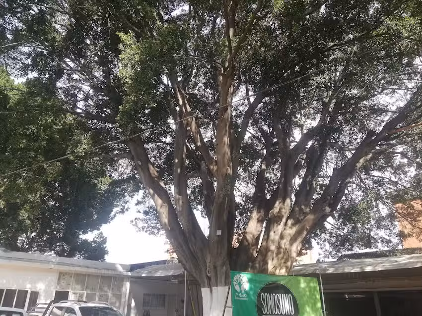 Una Vida Con Identidad