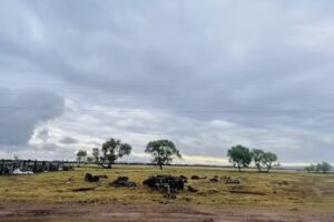 Veintisiete de noviembre