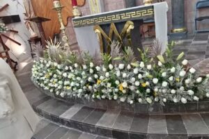 Vicar&iacute;a fija de la Inmaculada Concepci&oacute;n