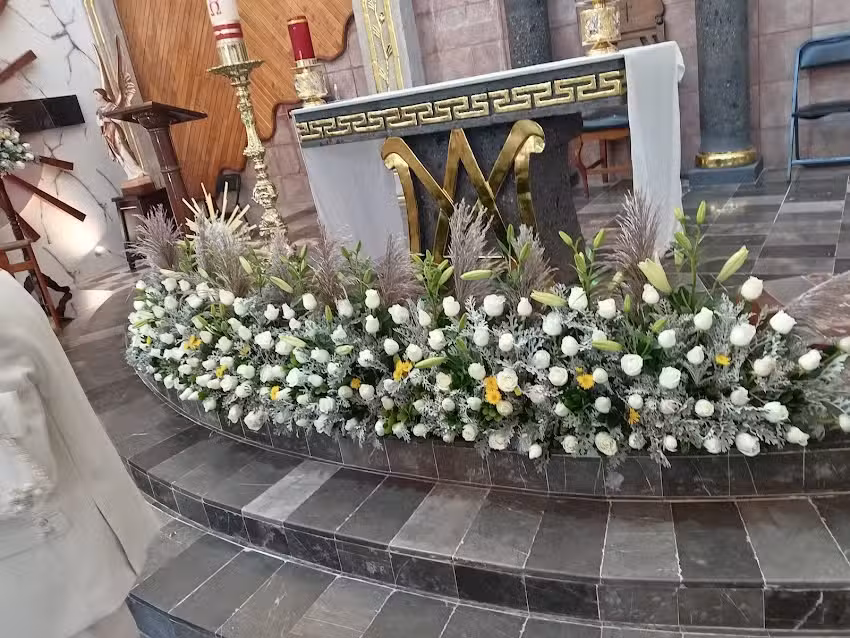 Vicar&iacute;a fija de la Inmaculada Concepci&oacute;n