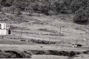Vieja Capilla del Consuelo