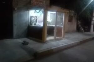 Virgen De San Juan De Los Lagos