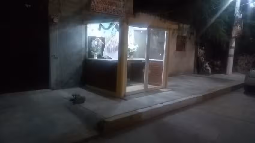 Virgen De San Juan De Los Lagos