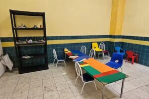 VNPSLP VIDA NUEVA PARA SAN LUIS