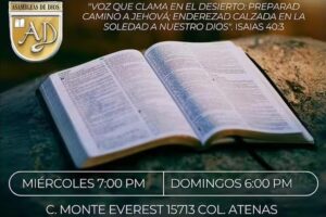 Voz que clama en el desierto