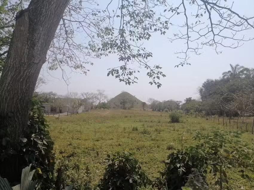 Zacate Colorado 2&deg;